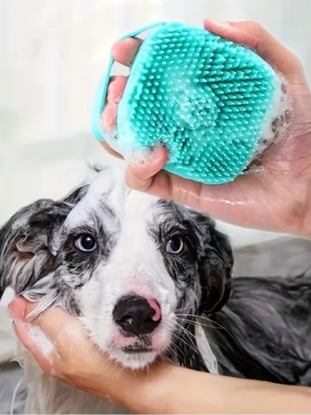 Pet Grooming Silicone Brush with Soap Dispenser - Teal - Picture 6 of 9